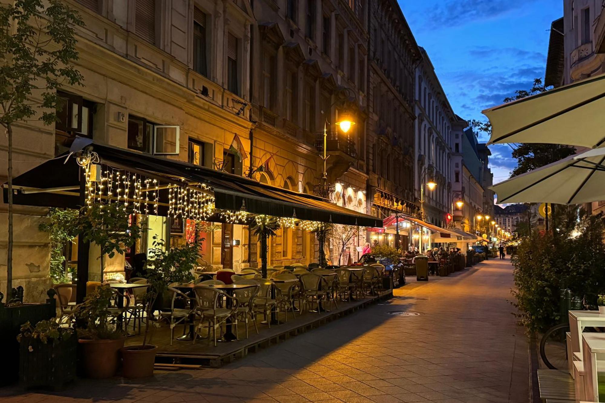 Jungle Aesthetics Downtown Apartman Aircon And Garage Parking Budapest Exterior photo